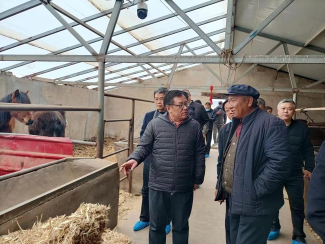 nb88新博备用官网