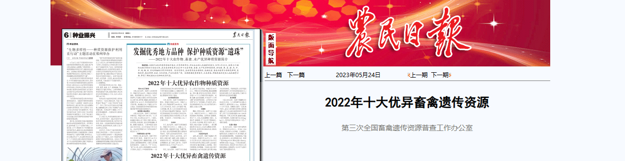 nb88新博备用官网