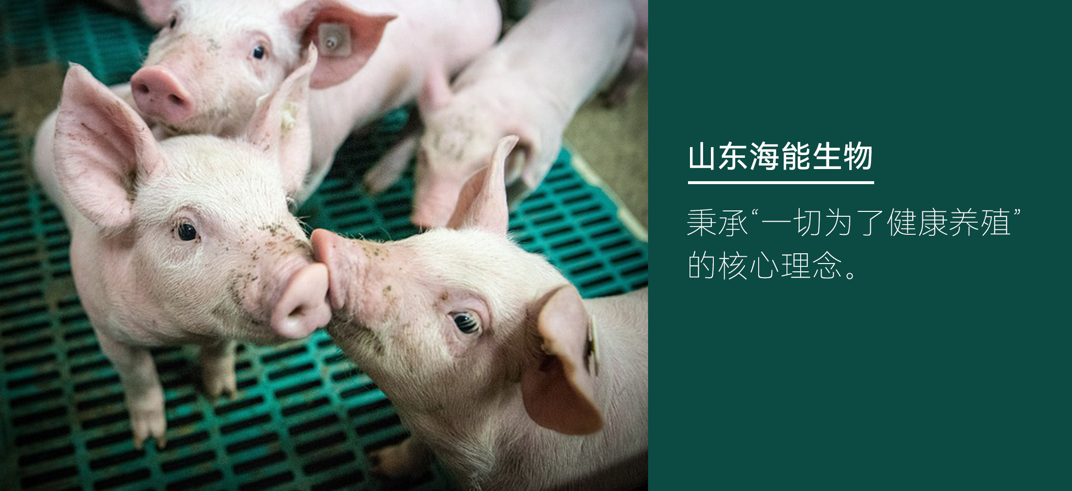 nb88新博备用官网