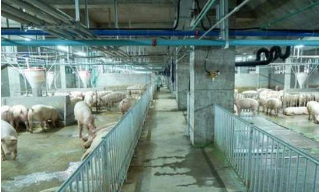 nb88新博备用官网