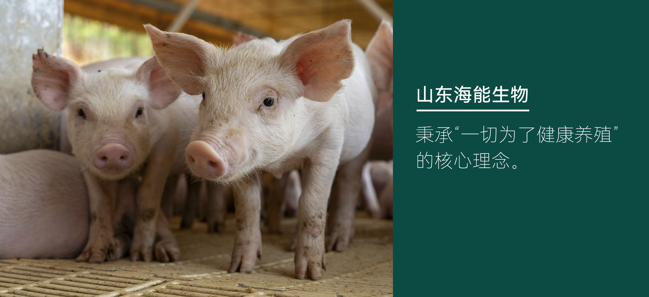 nb88新博备用官网